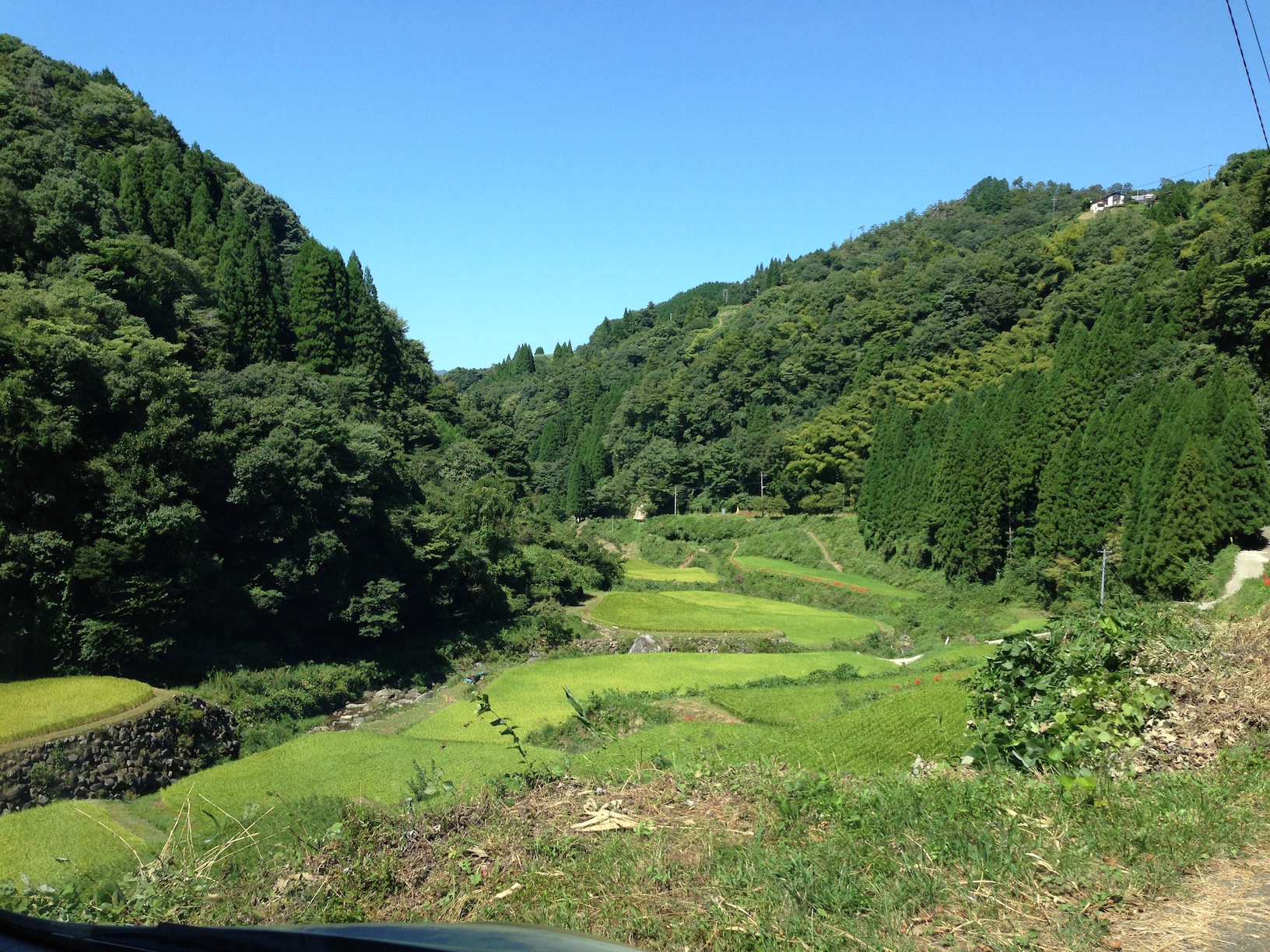 移住計画：松・竹・梅