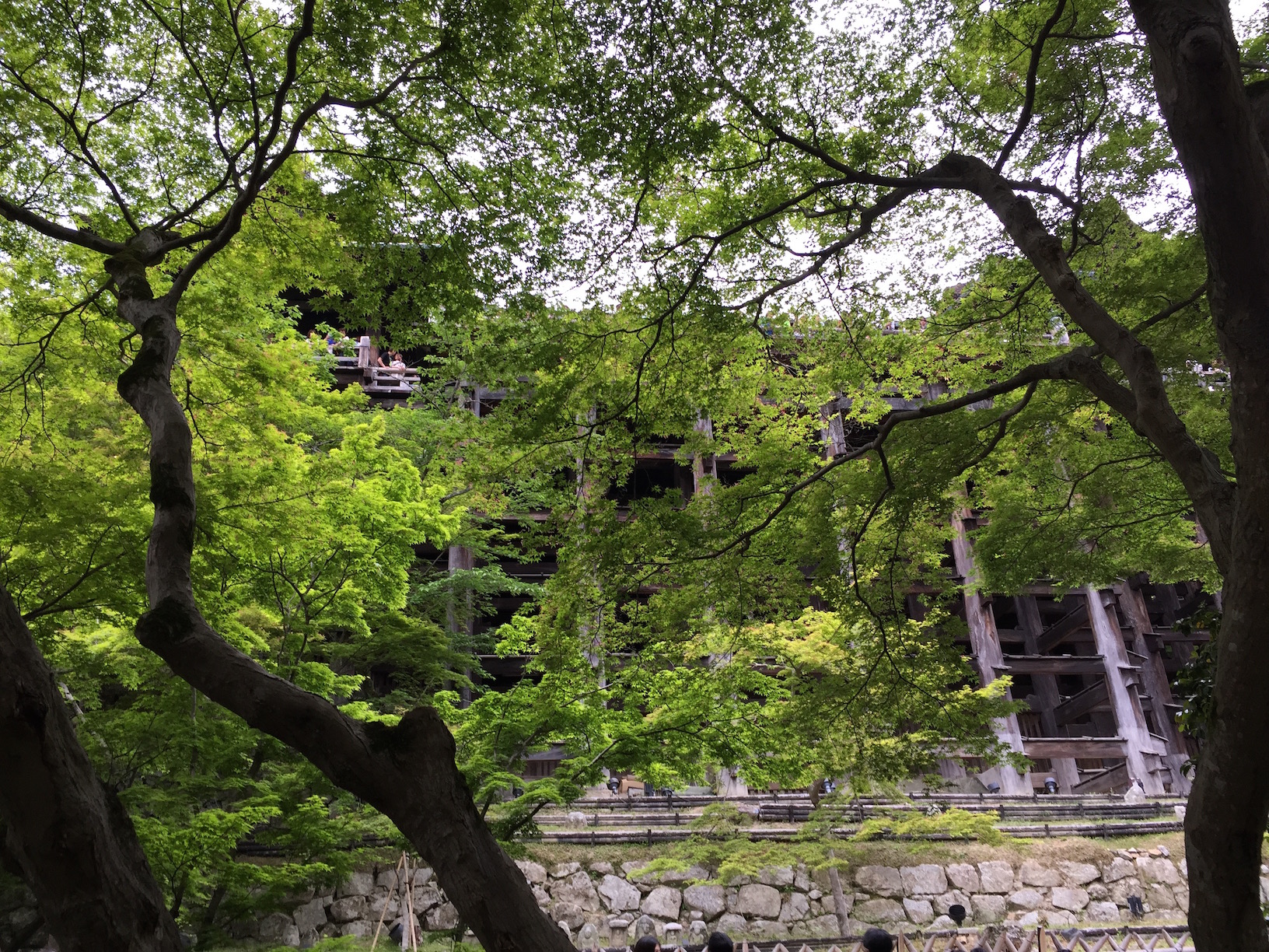 清水寺と中国人観光客