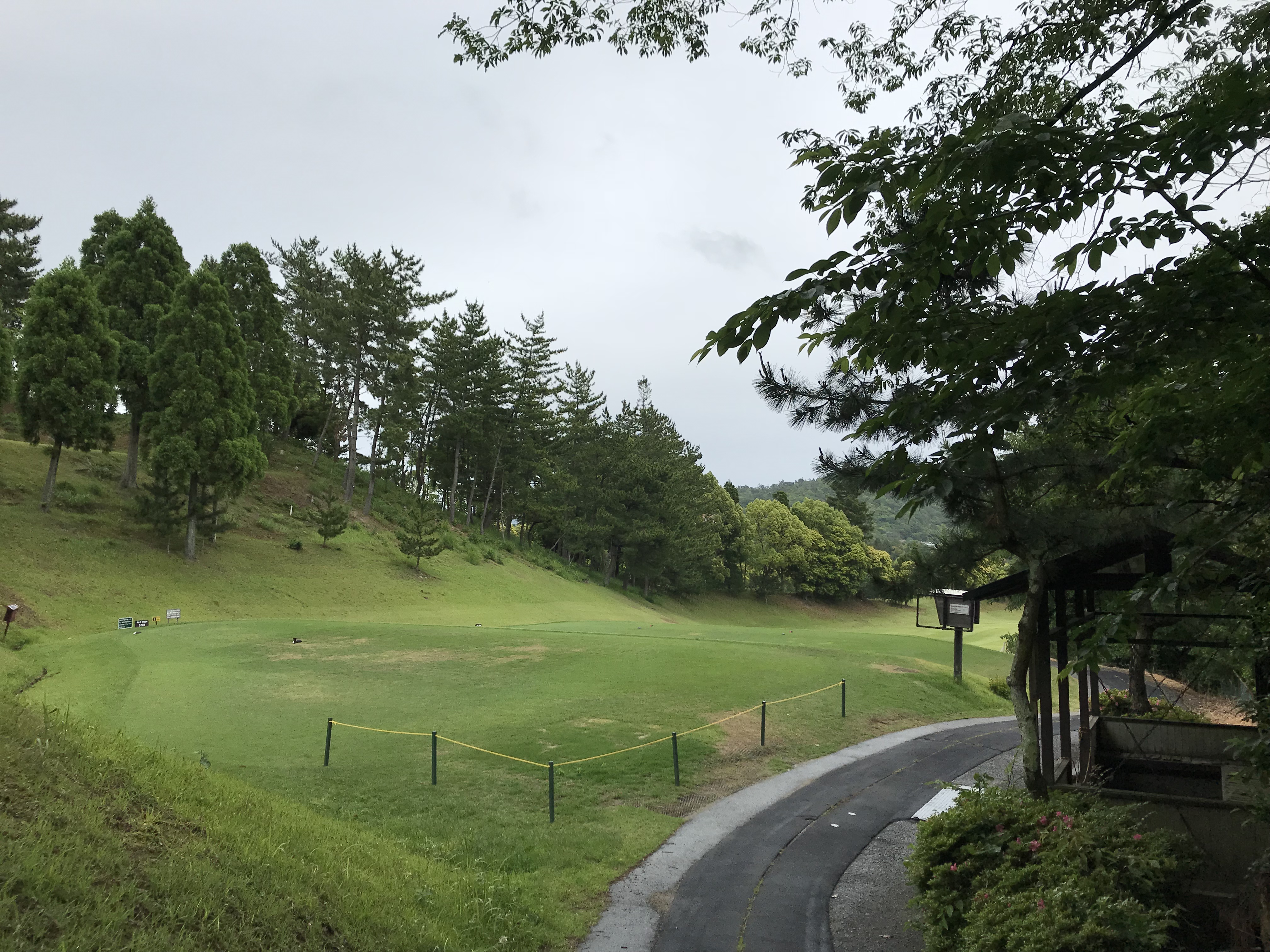 兵庫、大阪